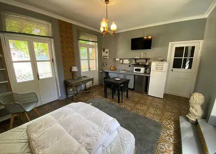 Apartment Cote Cite - Parking Prive - 100m Cite Medievale *