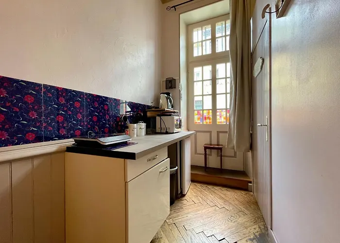 Cote Cite - Parking Prive - 100m Cite Medievale Apartment