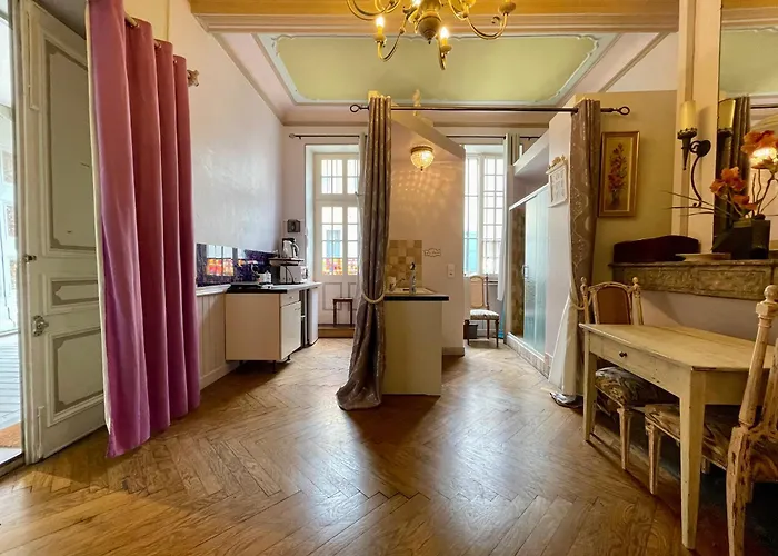 Apartment Cote Cite - Parking Prive - 100m Cite Medievale