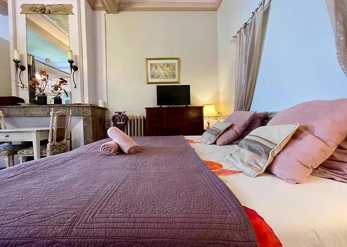 Apartment Cote Cite - Parking Prive - 100m Cite Medievale Carcassonne