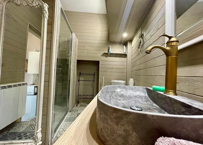 Apartment Cote Cite - Parking Prive - 100m Cite Medievale