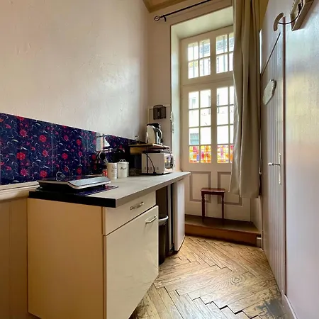 Cote Cite - Parking Prive - 100m Cite Medievale Apartment