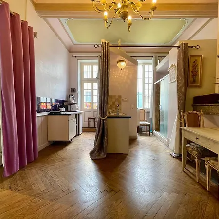 Apartment Cote Cite - Parking Prive - 100m Cite Medievale